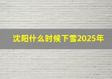 沈阳什么时候下雪2025年