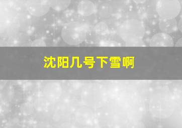 沈阳几号下雪啊