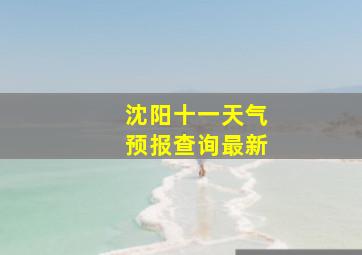 沈阳十一天气预报查询最新