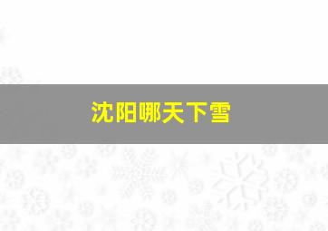 沈阳哪天下雪