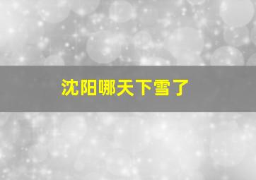 沈阳哪天下雪了