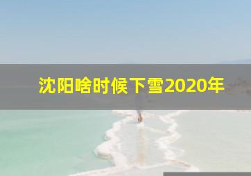 沈阳啥时候下雪2020年