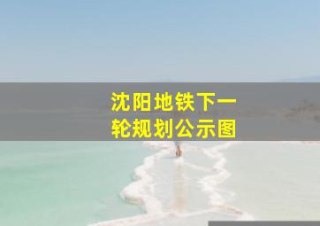 沈阳地铁下一轮规划公示图