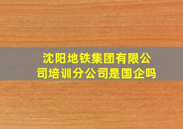 沈阳地铁集团有限公司培训分公司是国企吗