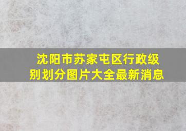 沈阳市苏家屯区行政级别划分图片大全最新消息