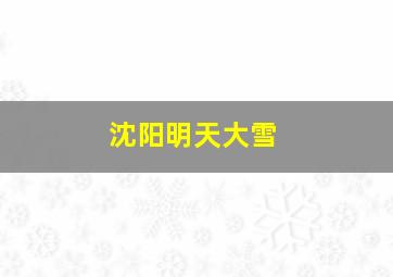 沈阳明天大雪