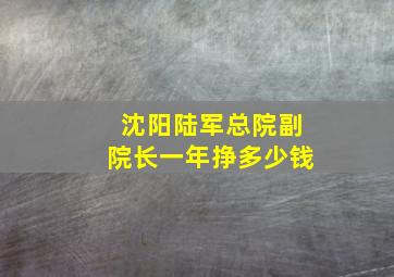 沈阳陆军总院副院长一年挣多少钱