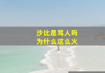 沙比是骂人吗为什么这么火