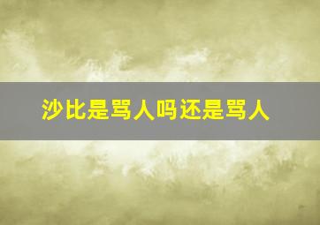 沙比是骂人吗还是骂人