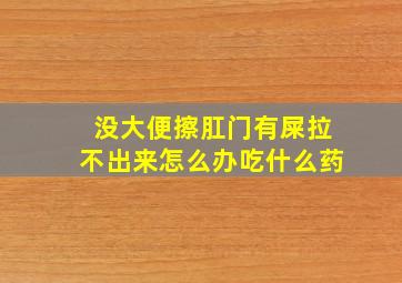 没大便擦肛门有屎拉不出来怎么办吃什么药