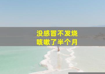 没感冒不发烧咳嗽了半个月