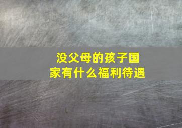 没父母的孩子国家有什么福利待遇