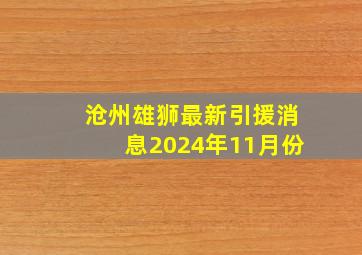 沧州雄狮最新引援消息2024年11月份