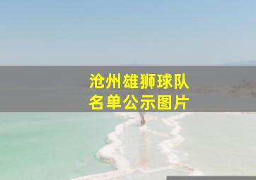 沧州雄狮球队名单公示图片