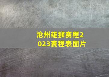 沧州雄狮赛程2023赛程表图片