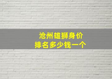 沧州雄狮身价排名多少钱一个