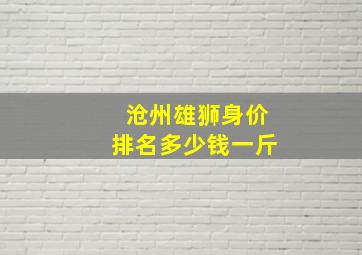 沧州雄狮身价排名多少钱一斤