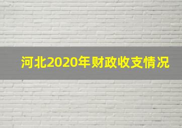 河北2020年财政收支情况