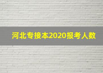 河北专接本2020报考人数