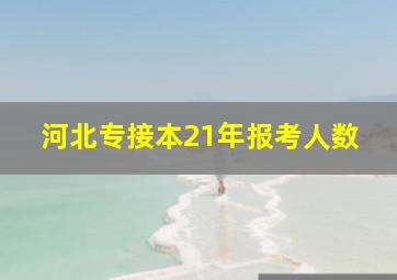 河北专接本21年报考人数