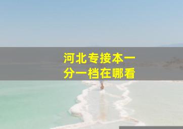 河北专接本一分一档在哪看