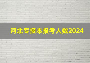 河北专接本报考人数2024