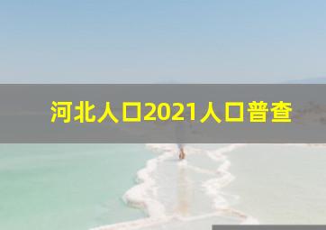 河北人口2021人口普查