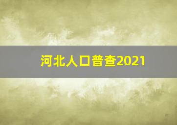 河北人口普查2021