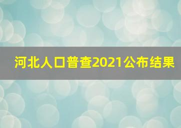 河北人口普查2021公布结果