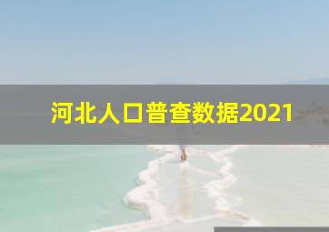 河北人口普查数据2021