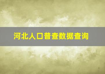 河北人口普查数据查询