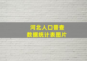 河北人口普查数据统计表图片