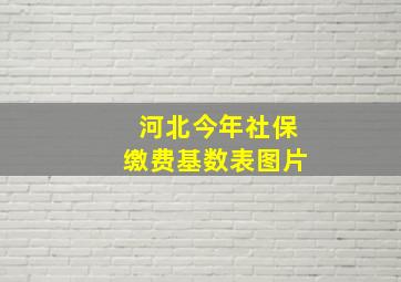 河北今年社保缴费基数表图片