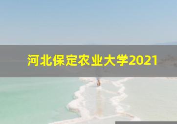 河北保定农业大学2021