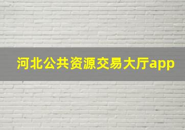 河北公共资源交易大厅app