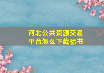 河北公共资源交易平台怎么下载标书