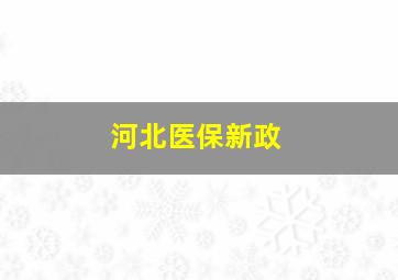 河北医保新政