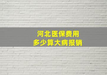 河北医保费用多少算大病报销