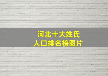 河北十大姓氏人口排名榜图片