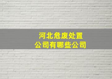 河北危废处置公司有哪些公司