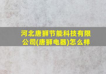 河北唐狮节能科技有限公司(唐狮电器)怎么样