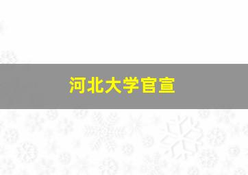 河北大学官宣