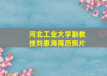 河北工业大学副教授刘恩海简历照片