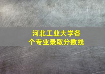 河北工业大学各个专业录取分数线