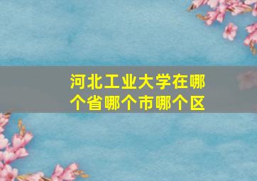 河北工业大学在哪个省哪个市哪个区