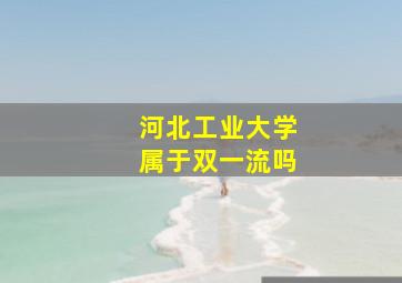 河北工业大学属于双一流吗