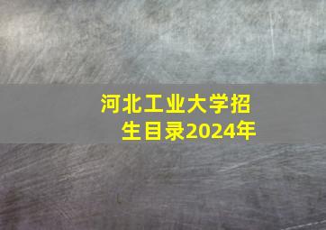 河北工业大学招生目录2024年