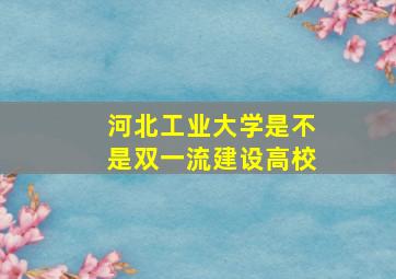 河北工业大学是不是双一流建设高校