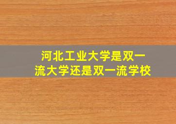 河北工业大学是双一流大学还是双一流学校