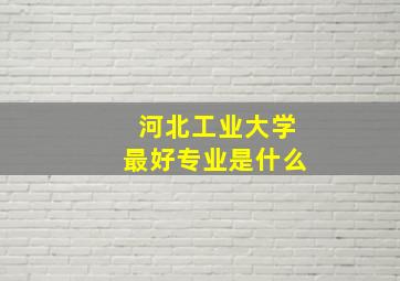 河北工业大学最好专业是什么